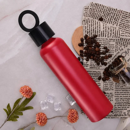 Insulated Water Bottle with Holder